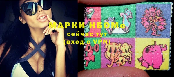 шишки Новозыбков