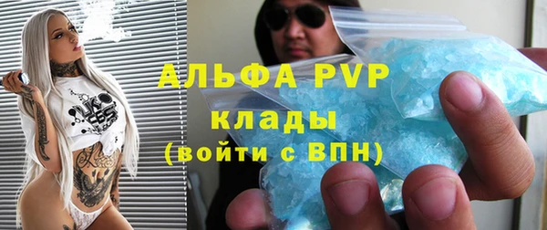 шишки Новозыбков