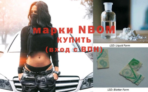 шишки Новозыбков