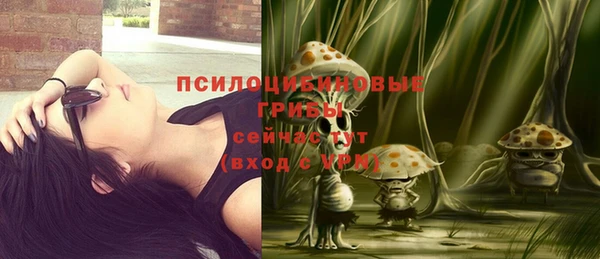 mix Няндома